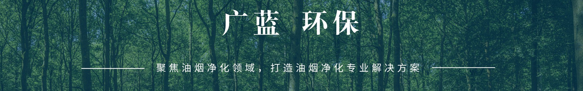 油煙凈化器設(shè)備_餐飲廚房油煙凈化設(shè)備工程廠家_深圳廣藍(lán)環(huán)保